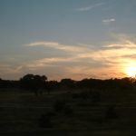 7月2日（月）グラナダ