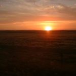 7月3日（火）セビーリャ